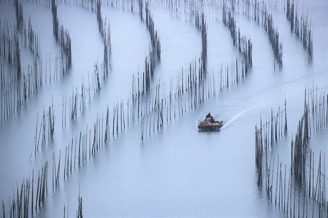 冬至|建始也，冬來也|